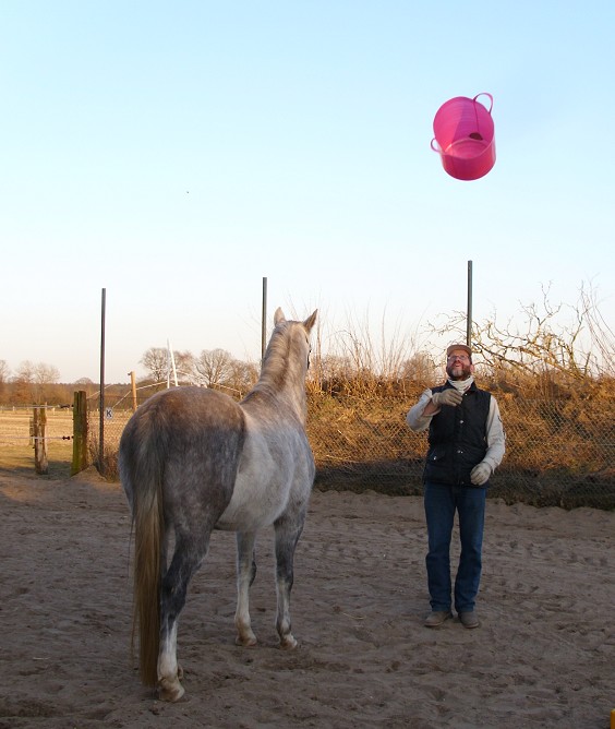 pinke Eimer fliegen hooch