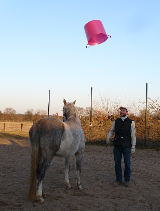 pinke Eimer fliegen hooch