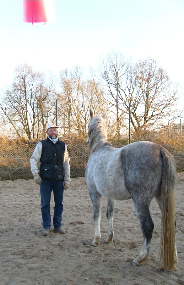 pinke Eimer fliegen hooch