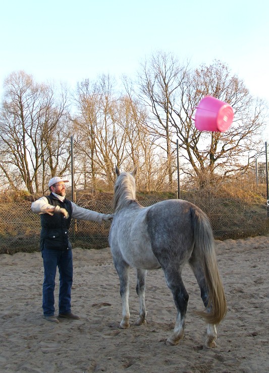 pinke Eimer fliegen hooch