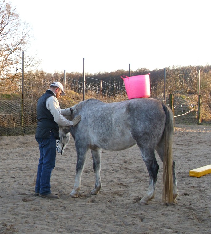 auf der Kruppe