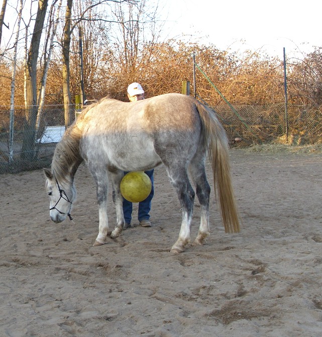 Ein Kinderhpfball