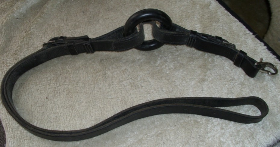 Ausbinder
