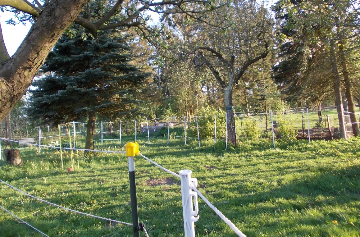 , aber um selbige zu schonen, wird der Obstgarten wieder bergangsweise eingezunt.