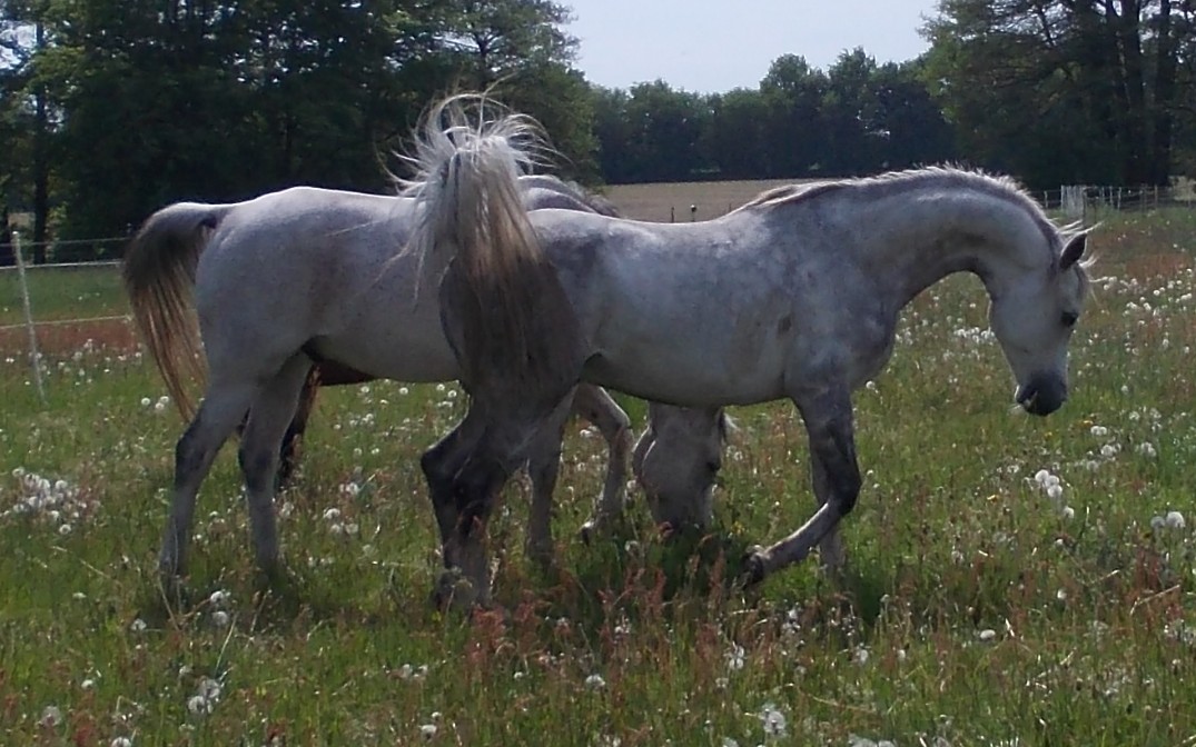 fruehsommer2012