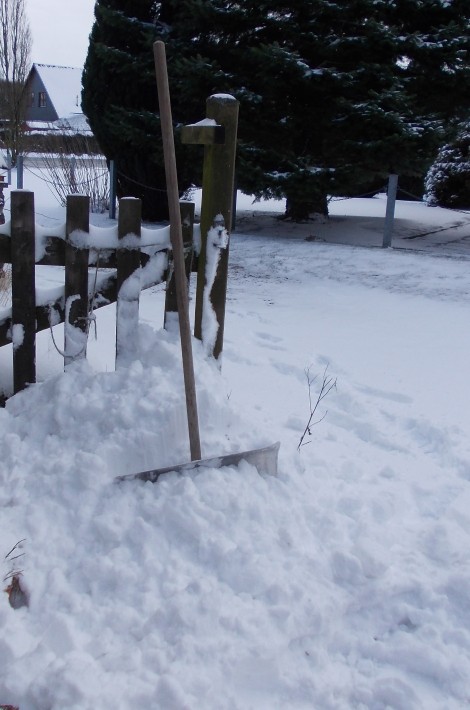 schnee