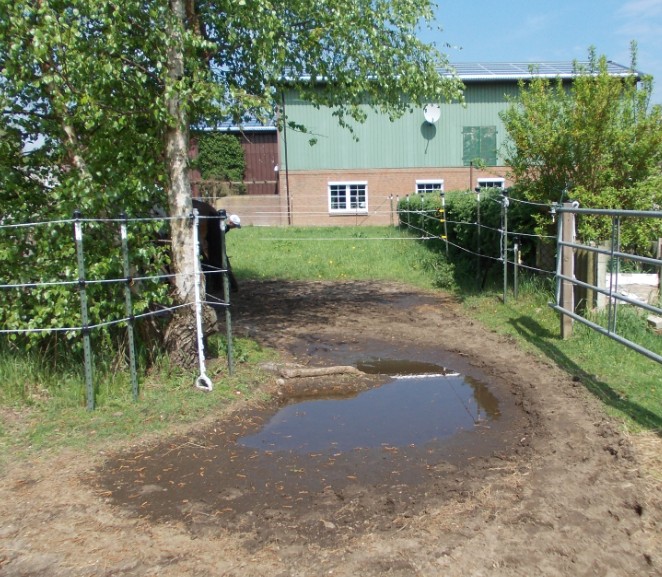 Pfütze