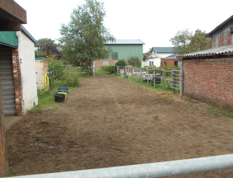 paddock