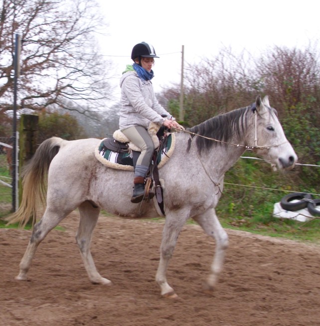 Fenya und Shaman