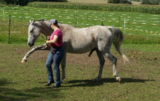 spanischer schritt