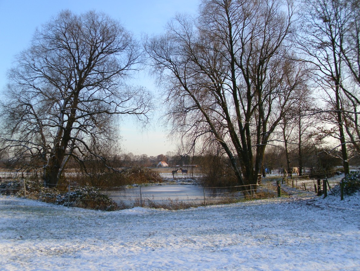 Winter2010